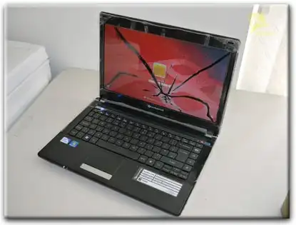 Замена матрицы Packard Bell в Шуе